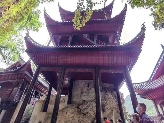 企鹅回城5之飞渡横木